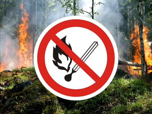 В Удмуртии с 26 по 31 августа сохранится высокая пожароопасность лесов  