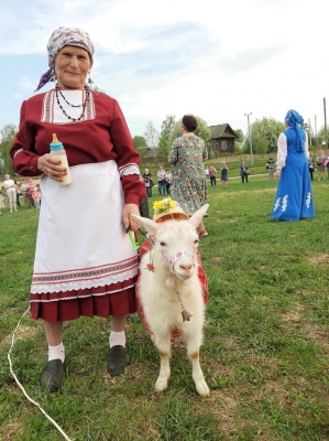 В Удмуртии выбрали самую красивую козу 