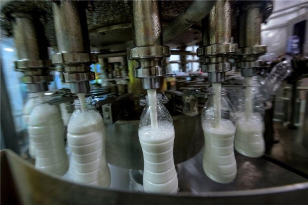 Сельхозпроизводители Удмуртии увеличили надои молока на 5,5 процентов