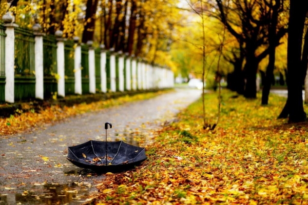 Дождливая погода ожидается в Удмуртии 14 октября