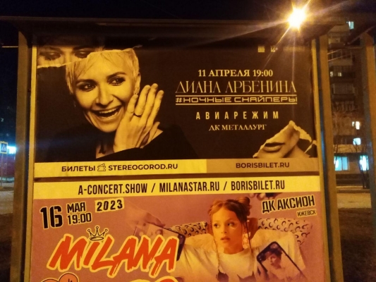 Концерт солистки «Ночных снайперов» Дианы Арбениной отменили в Ижевске