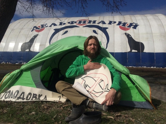 В Ижевске пройдет митинг за запрет передвижных дельфинариев
