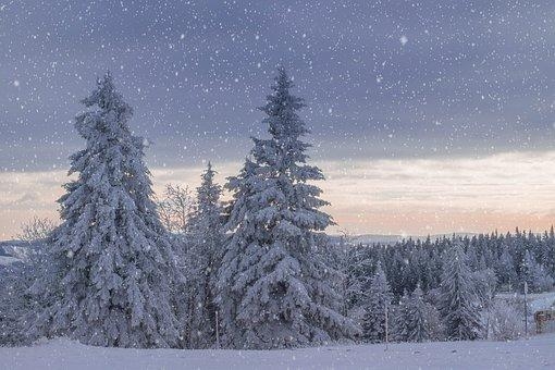 В Удмуртии 4 февраля вновь ожидается сильный снег