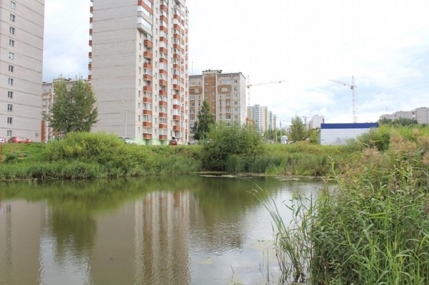 Пруд на улице Автозаводская в Ижевске может быть благоустроен в 2021 году 
