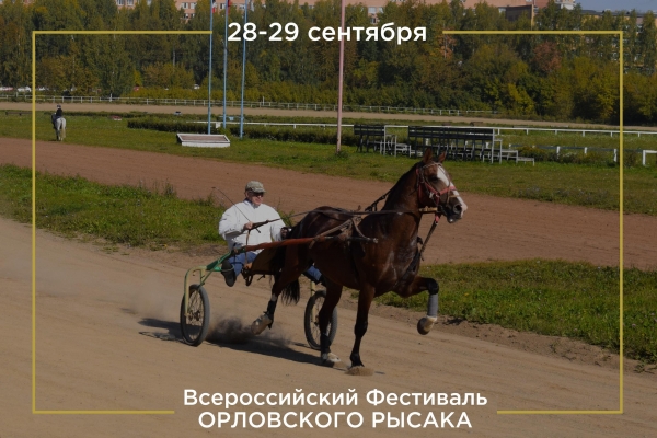 Стала известна программа Всероссийского фестиваля орловской лошади на Ижевском ипподроме