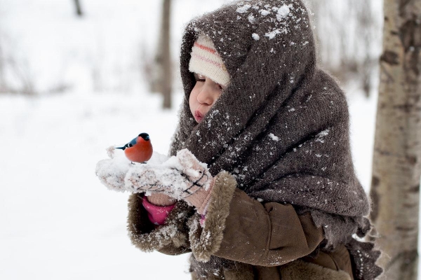 До -31 градуса ожидается в Удмуртии в ночь на 10 февраля 