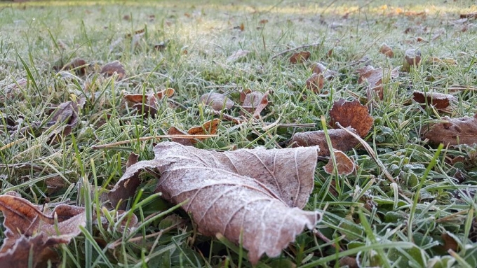 Похолодание до -2°С ожидается в Удмуртии в ночь на четверг