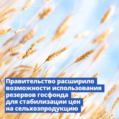 Правительство России приняло меры для стабилизации цен на сельхозпродукцию внутри страны