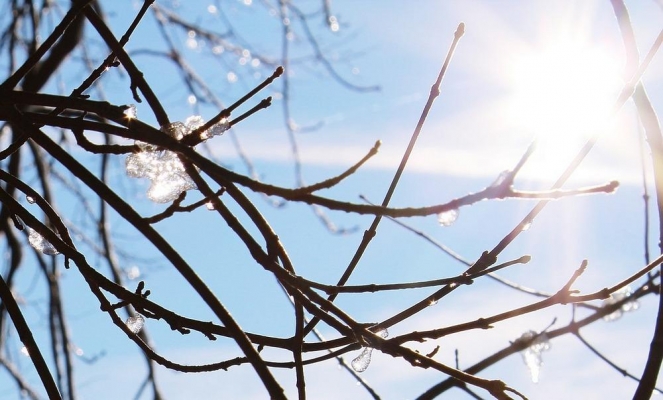 Потепление до +11°C ожидается в Удмуртии в четверг, 4 апреля
