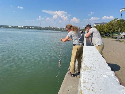 Массовая гибель рыбы в Ижевском пруду вызвала тревогу специалистов