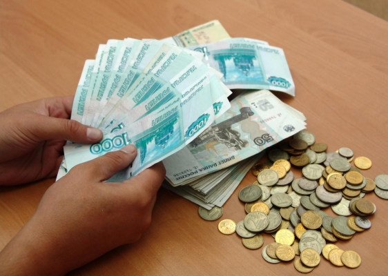 Средний доход жителей Удмуртии составил более 24 тысяч рублей в месяц 