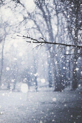 5 февраля в Удмуртии ожидается снег