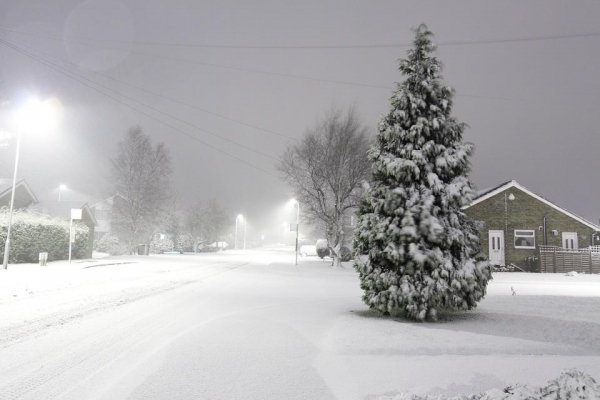 Сильный ветер и снегопады ожидаются в Удмуртии в ночь на 6 декабря