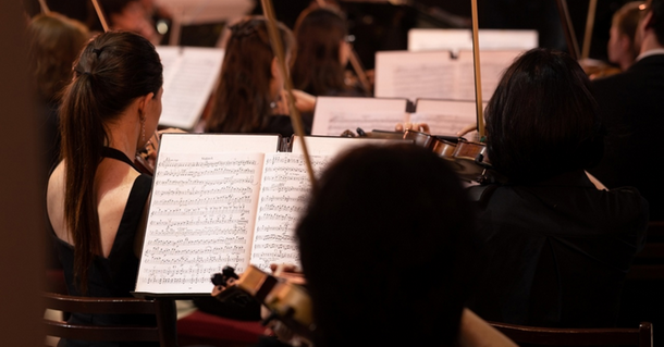 Детско-юношеский симфонический оркестр создадут в Удмуртии
