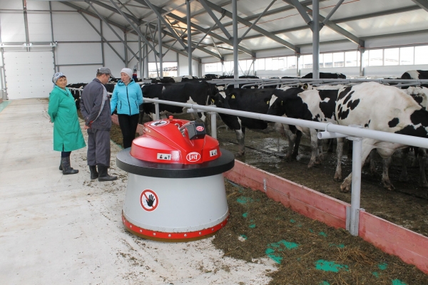 Объемы молочного производства увеличились в Удмуртии на 7,6%
