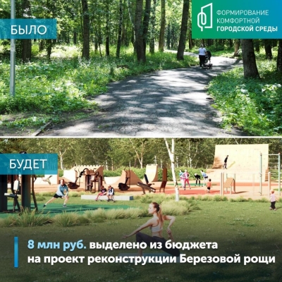 На подготовку к реконструкции Березовой рощи в Ижевске выделили 8 млн рублей