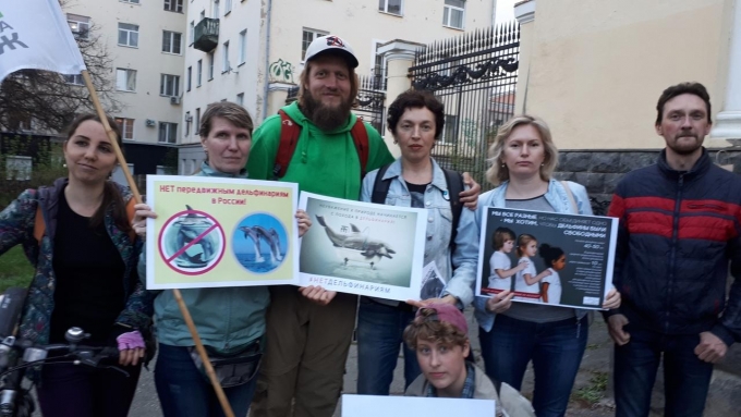 Митинг против передвижных дельфинариев прошел в Ижевске