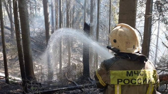 53 лесных пожара произошло в Удмуртии с начала года