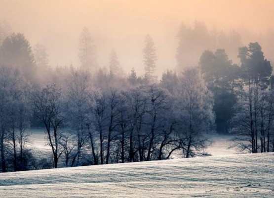Туман сохранится на территории Удмуртии в течение дня 25 января