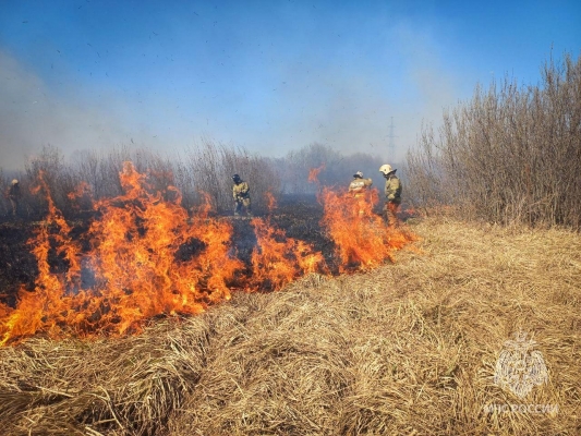 Очередной ландшафтный пожар тушат в Удмуртии