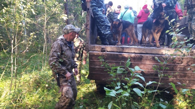 Медведь не тронул: грибника, пропавшего в Глазовском районе Удмуртии, нашли живым