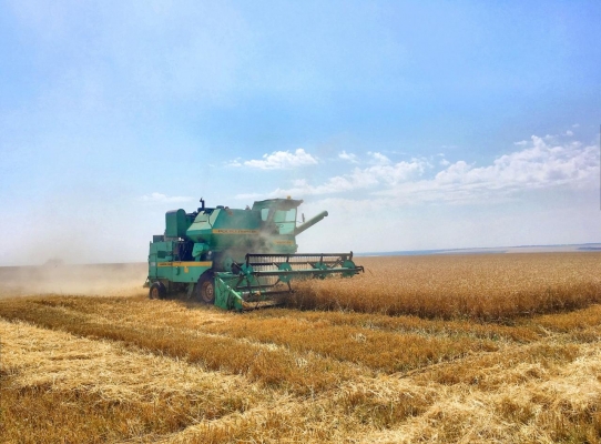 Аграрии Удмуртии завершили уборку зерновых на 50%