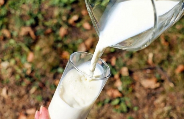 Более 20 тонн молочной продукции отправили из Удмуртии в Узбекистан