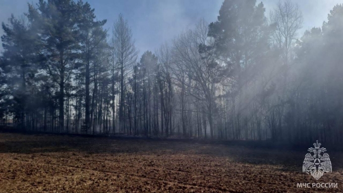 В пресс-службе МЧС предупредили о чрезвычайной пожароопасности лесов