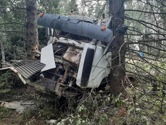 Водитель грузовика получил травмы, съехав с дороги в лесополосу в Удмуртии