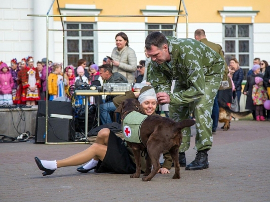 День фронтовой собаки готовятся отметить в Ижевске 