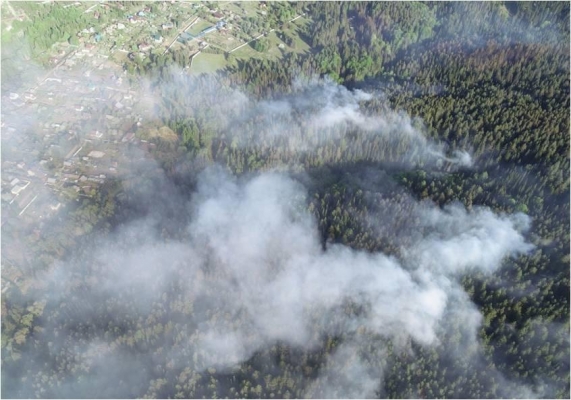 Режим ЧС ввели на территории лесного пожара в Воткинском районе Удмуртии