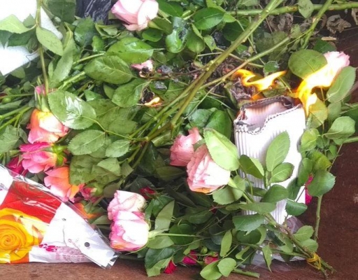 В Удмуртии сожгли партию роз из Израиля, зараженных трипсом