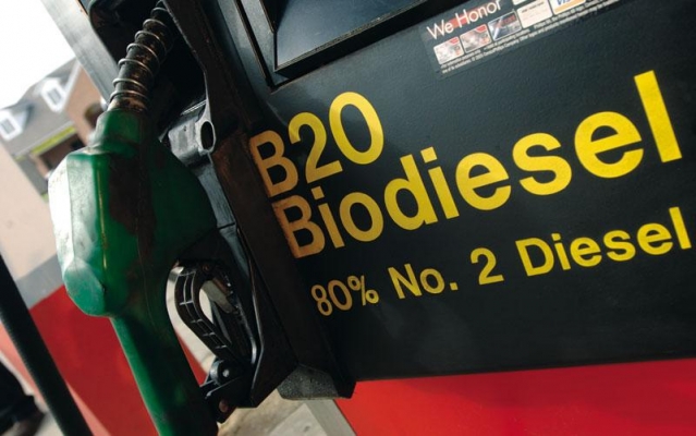 Почему будущее за биодизелем, а не за соляркой, бензином или моторным спиртом?
