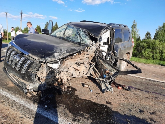 Пожилой водитель погиб в лобовом столкновении легкового автомобиля с грузовиком в Удмуртии