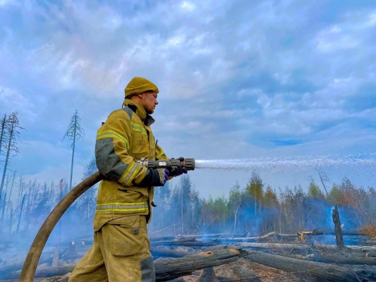 45 пожарных Удмуртии тушат природное возгорание в Мордовии