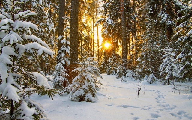 В Удмуртии средняя температура воздуха в декабре будет -9°С 