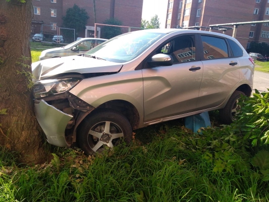 В Глазове пьяный водитель автомобиля врезался в дерево 