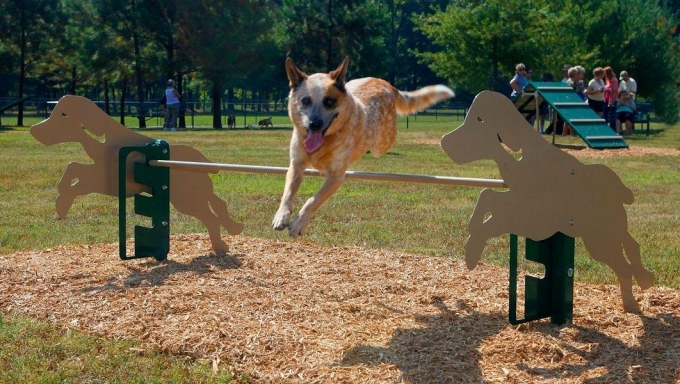 В Ижевске площадки для выгула собак будут ограждать 2-метровым забором
