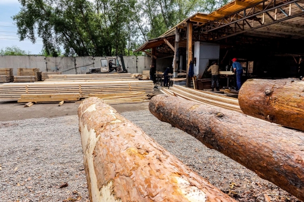Все пункты приема и переработки древесины в Удмуртии поставят на учет