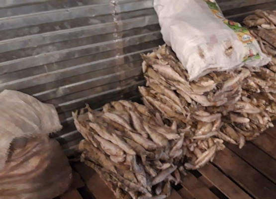Более 1,5 тонн опасной рыбы изъяли на перерабатывающем предприятии в Сарапуле