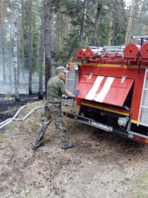 Лесной пожар произошел в национальном парке «Нечкинский»