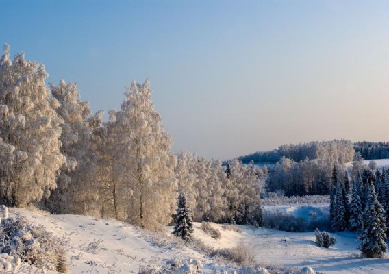 Морозы до -30 градусов прогнозируют в Удмуртии в ночь на 17 февраля
