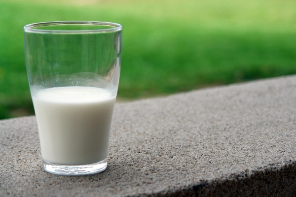 Удмуртия продолжает быть в топе по максимальным объёмам реализации молока