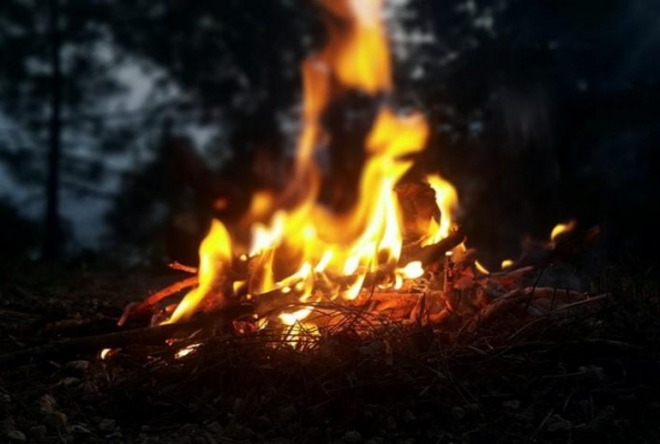 Пожароопасный сезон завершился в лесах Удмуртии 19 октября