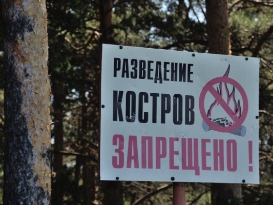 Запрет на посещение лесов гражданами сняли в Удмуртии 