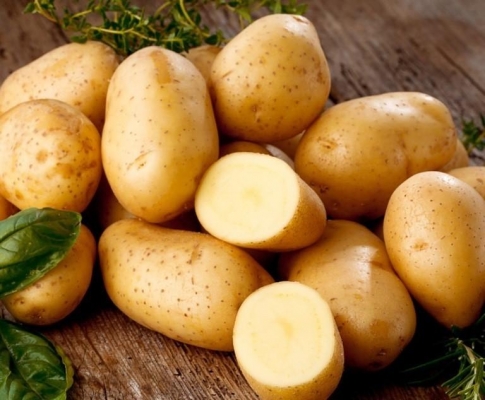 В Удмуртии снизился урожай картофеля