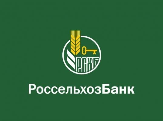 Россельхозбанк: за 20 лет переработка макулатуры в России увеличилась в 6 раз 