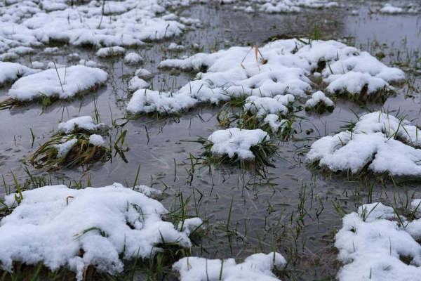 Дожди и мокрый снег ожидаются в Удмуртии в ближайшие выходные 