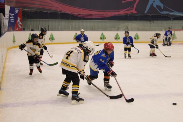 В Удмуртии детский турнир по хоккею закончился скандалом