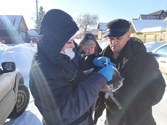 Вынужденную вакцинацию собак и кошек от бешенства провели в Ленинском районе Ижевска